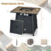 28" 40,000 BTU Propane Gas Fire Pit Table with Cover, Lava Stones & CSA Certification, detailing dimensions and accessories included like a touch-up pen and lava stones.
